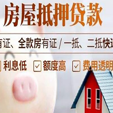 芦淞贷款中介公司新渝启服实力公司